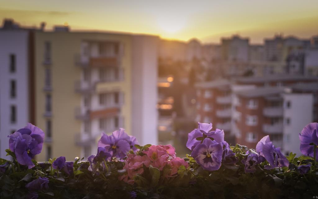 A Nice Place To Stay Apartments Praga Camera foto